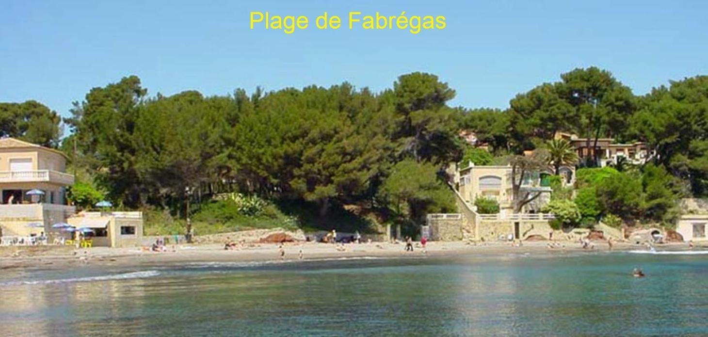 Chambre Et Salle De Bain Independantes A 200M De La Plage De Fabregas La Seyne-sur-Mer Exterior foto